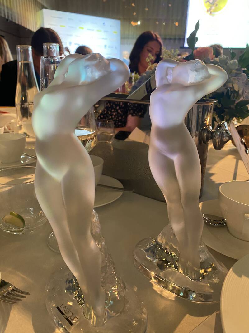 CEW Achiever Award 2015