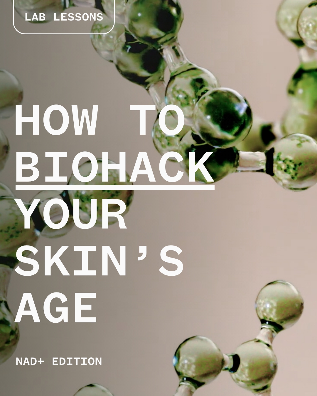 Lab Lessons NAD+ Edition